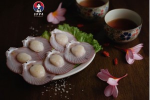 Half Shell Scallop (6 pcs)