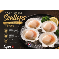 Half Shell Japanese Scallop (4 pcs)