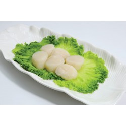 Scallop (6 pcs)