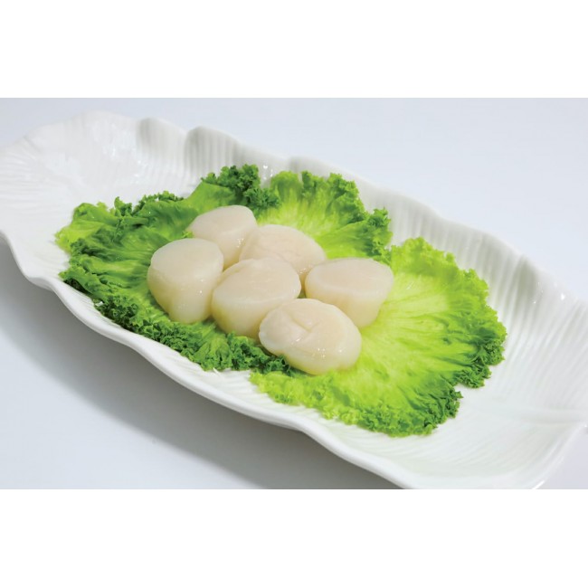 Scallop (6 pcs)